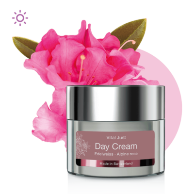 Neue Regenerierwirkung für die Gesichtshaut-day cream